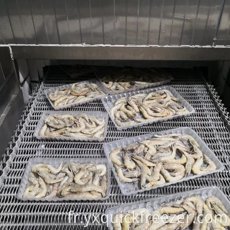 Spiral Freezer For Boxed Packing Shrimp